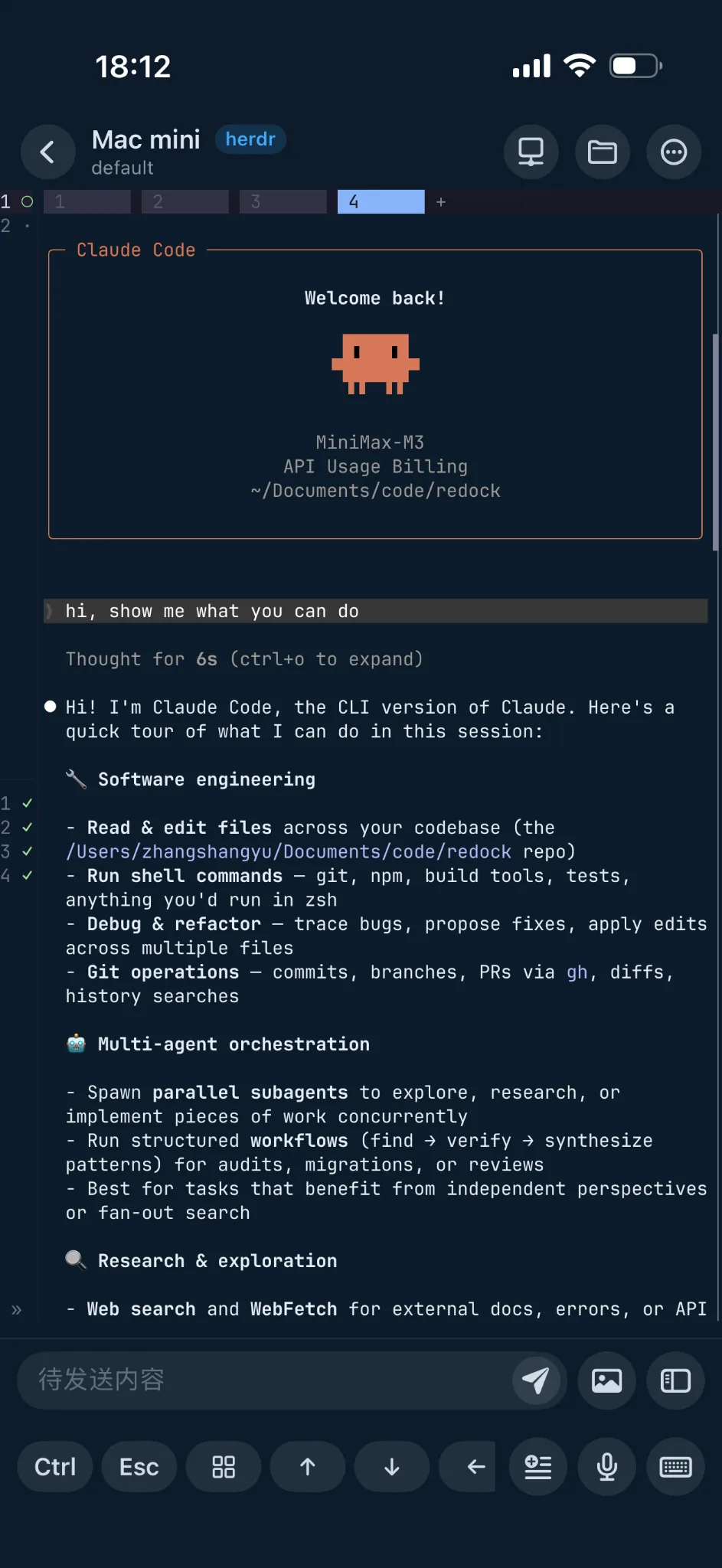 Redock 重新连接后显示 Welcome back 的 tmux Coding Agent 会话
