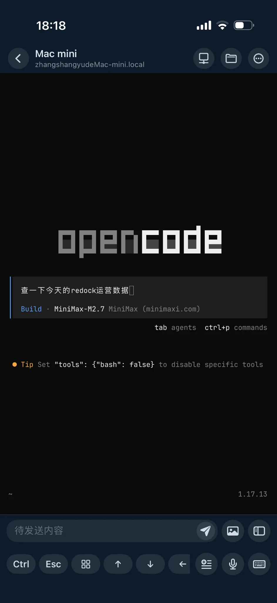 An OpenCode coding agent session in Redock on iPhone